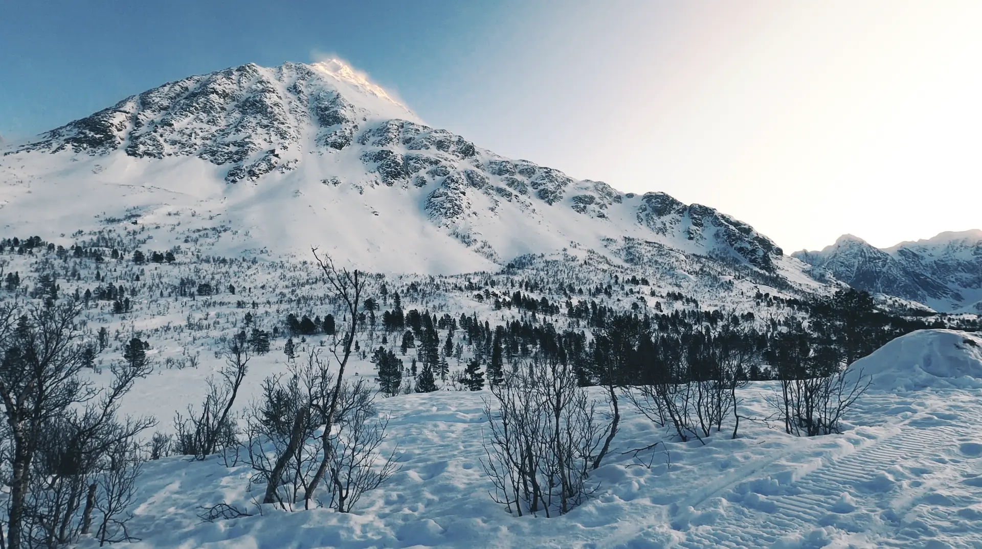 Lyngen Snowmobile Safari